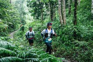 BIB: 
                            <button type="button" onclick="openModal(26360396)" class="btn btn-primary btn-sm float-right btn-popup" data-toggle="modal" data-target=".modal-high-quality">
                        <i class="fas fa-shopping-cart"></i> Add to Cart
                    </button>
                                            <button type="button" onclick="isThisMe(26360396, true)" class="btn btn-success btn-sm float-right btn-popup btn-isme hidden" data-toggle="tooltip" data-placement="bottom" title="นี่คือรูปของคุณใช่ไหม คลิกที่นี่เพื่อเอาเข้าอัลบั้ม">
                        <i class="fas fa-plus"></i> Add to album
                    </button>
                    <button type="button" onclick="isThisMe(26360396, false)" class="btn btn-warning btn-sm float-right btn-popup btn-isnotme hidden">
                        <i class="fas fa-ban"></i> Remove from album
                    </button>